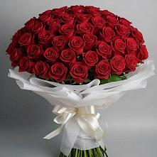 Букет 101 Красная роза Блэк Мэджик в Усть-Джегуте