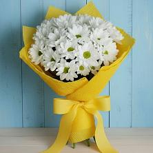 Букет цветов из:  Хризантемы в Усть-Джегуте