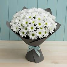 Букет цветов из:  Хризантемы #REPLACE_PRED# Усть-Джегуте