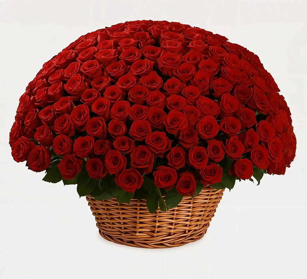 Премиум букет из: Розы в Усть-Джегуте