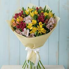 Букет цветов из:  Альстромерии в Усть-Джегуте
