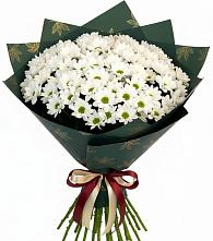 Букет цветов из:  Хризантемы #REPLACE_PRED# Усть-Джегуте