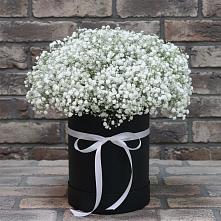 Цветочная композиция из Гипсофила в шляпной коробке в Усть-Джегуте