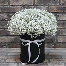 Цветочная композиция из Гипсофила в шляпной коробке в Усть-Джегуте